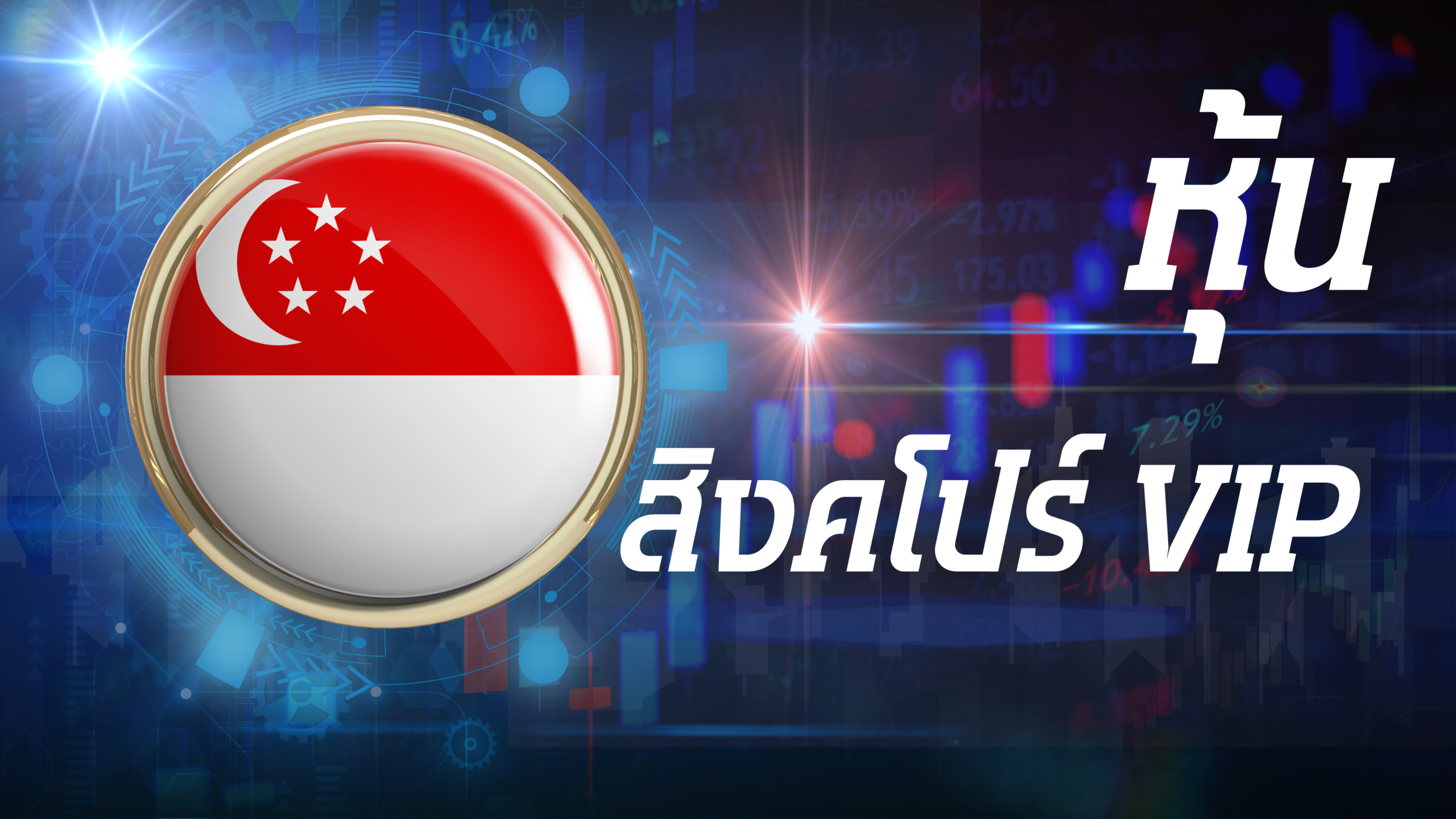 สิงค์โปร์ VIP